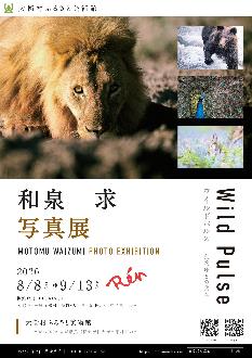 大衡村ふるさと美術館で和泉求写真展を開催中です。詳細はページを参照ください。