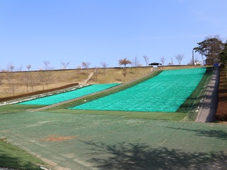 青空の下に緑の人工芝が敷かれた斜面と遠くに木が見える写真