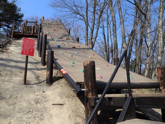 外で岩場を模した突起が付いているクライミングパネルの写真