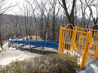 外で木々を背景に青色の滑り台が遠くまで渡っているの写真