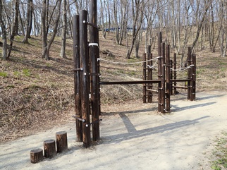 外で木製のアスレチック遊具と秋の芝生の上に木々が写っている写真