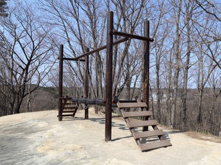 外で木製のアスレチック遊具と隣に木がたくさん写っている写真