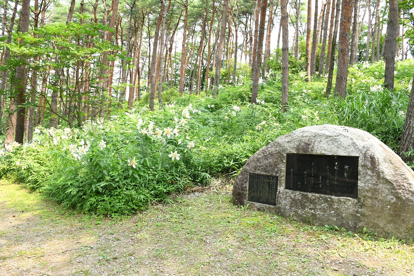昭和・万葉の森