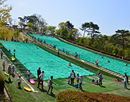 万葉クリエートパークの人工芝滑り台で大人も子供も楽しく遊んでいる様子