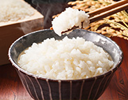 大衡村で育てた美味しそうな茶碗いっぱいの米