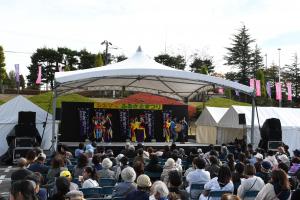 屋外のステージのイベントを多くの人が観賞している写真