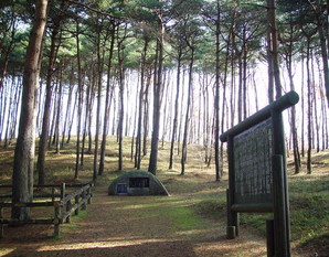 看板の奥で多くの背の高い松が生い茂っている写真