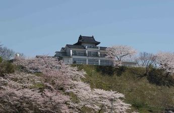 桜の生えている小高い丘の上に建っているお城の写真