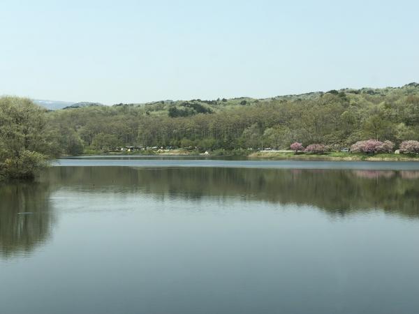 薄い青空の下で木々に囲まれた湖の写真