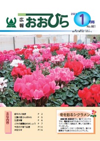 広報おおひら2021年1月号の表紙