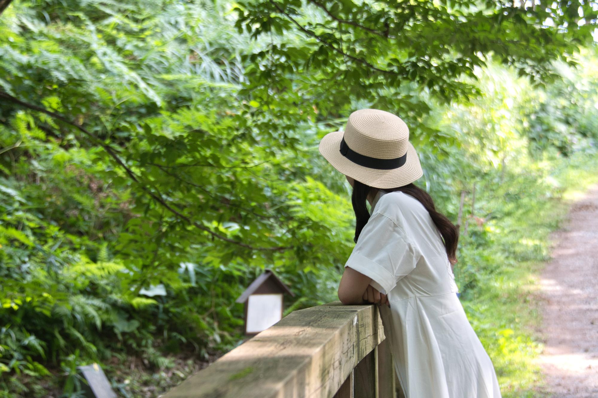 昭和万葉の森の橋で下を眺める女性