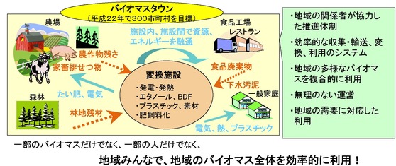 バイオマスタウンとは