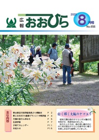 広報おおひら2020　8月号　Ｎｏ．656の画像