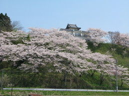 大衡城