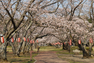 大衡中央公園