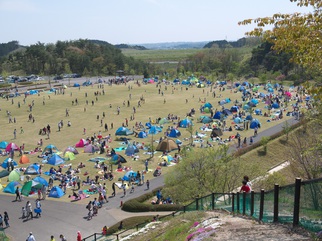 ピクニック広場の画像