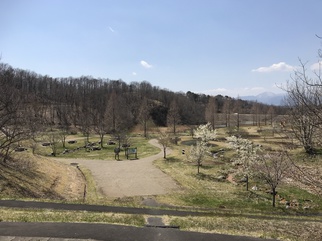 緑水公園の画像_1