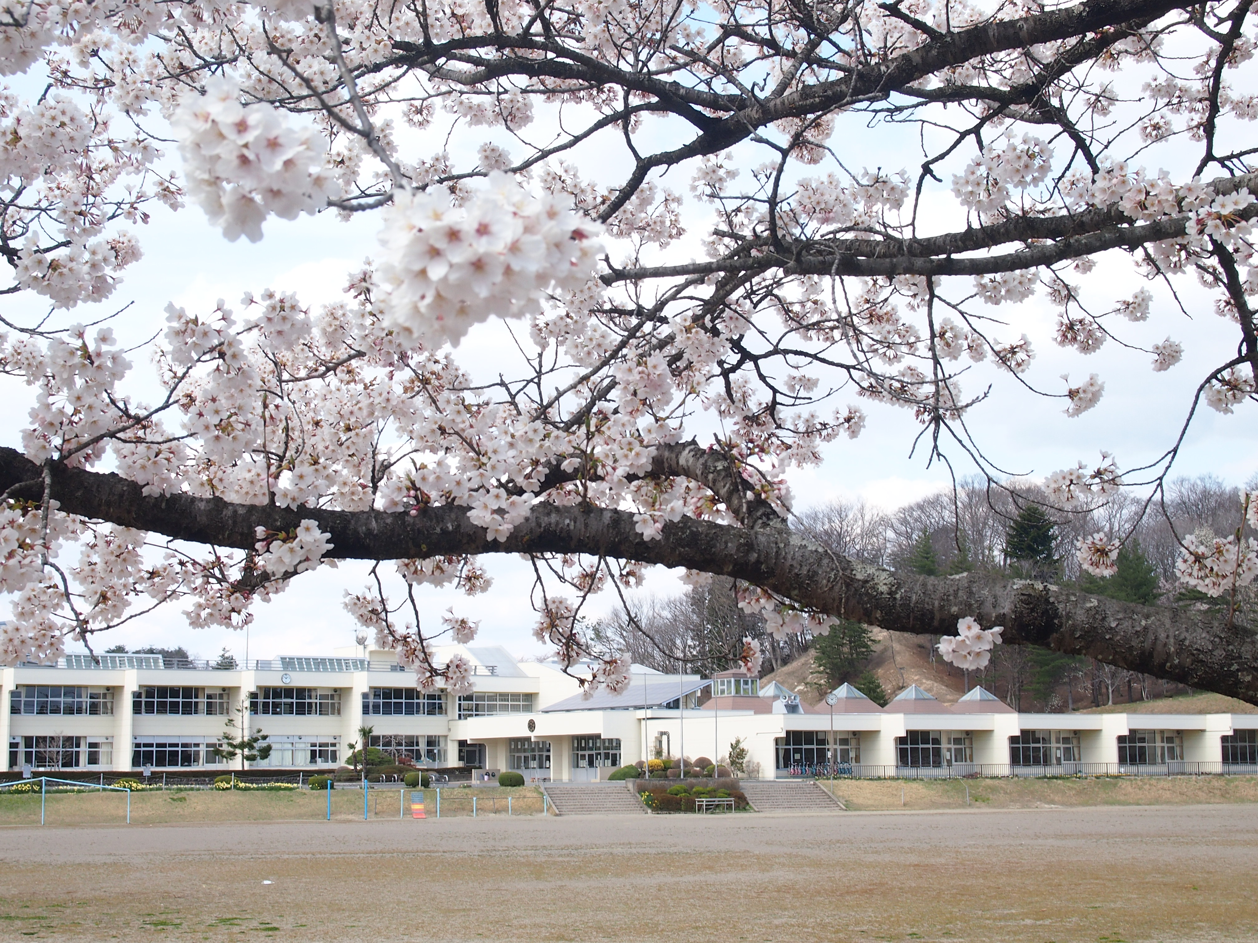 大衡村立大衡小学校のタイトル画像